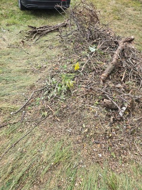 Heavy debris clearing