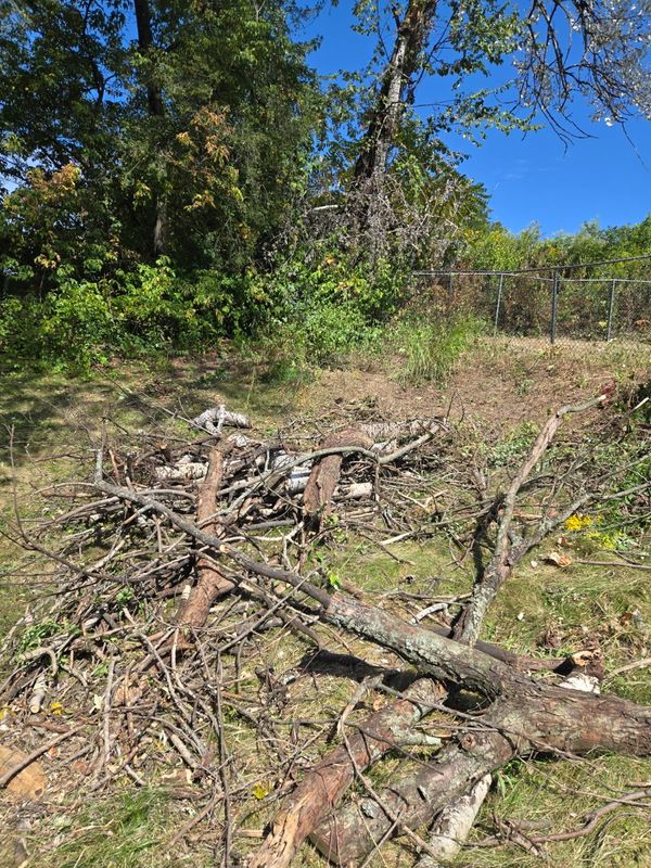 Fence perimeter clearing