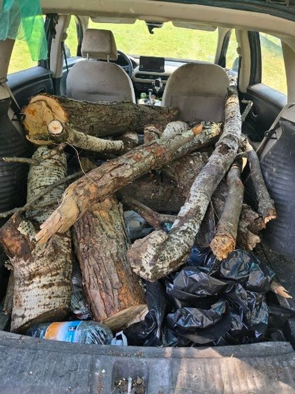 Branch and debris pile removal